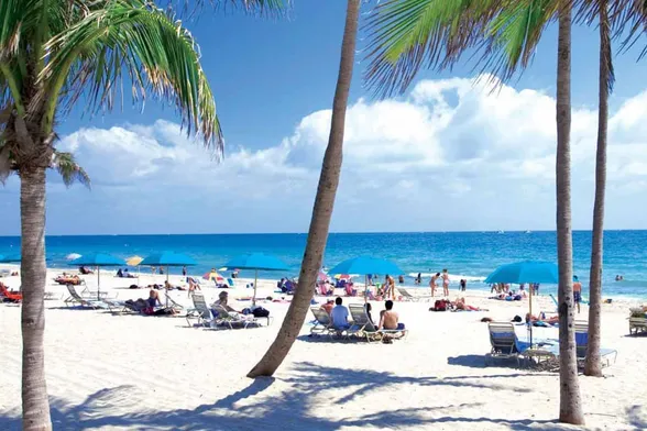 Universidades en Miami