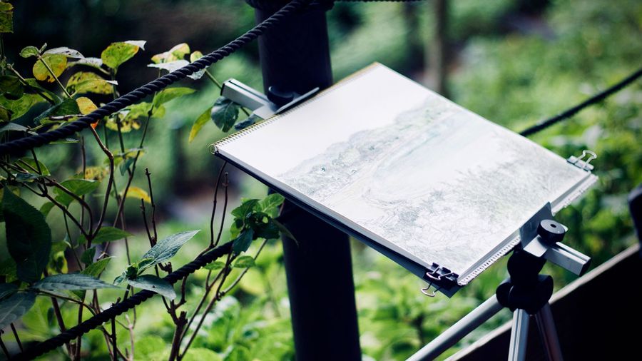 Cómo dibujar un árbol Cómo dibujar un árbol