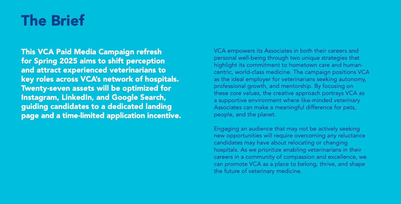 VCA creative brief lead page