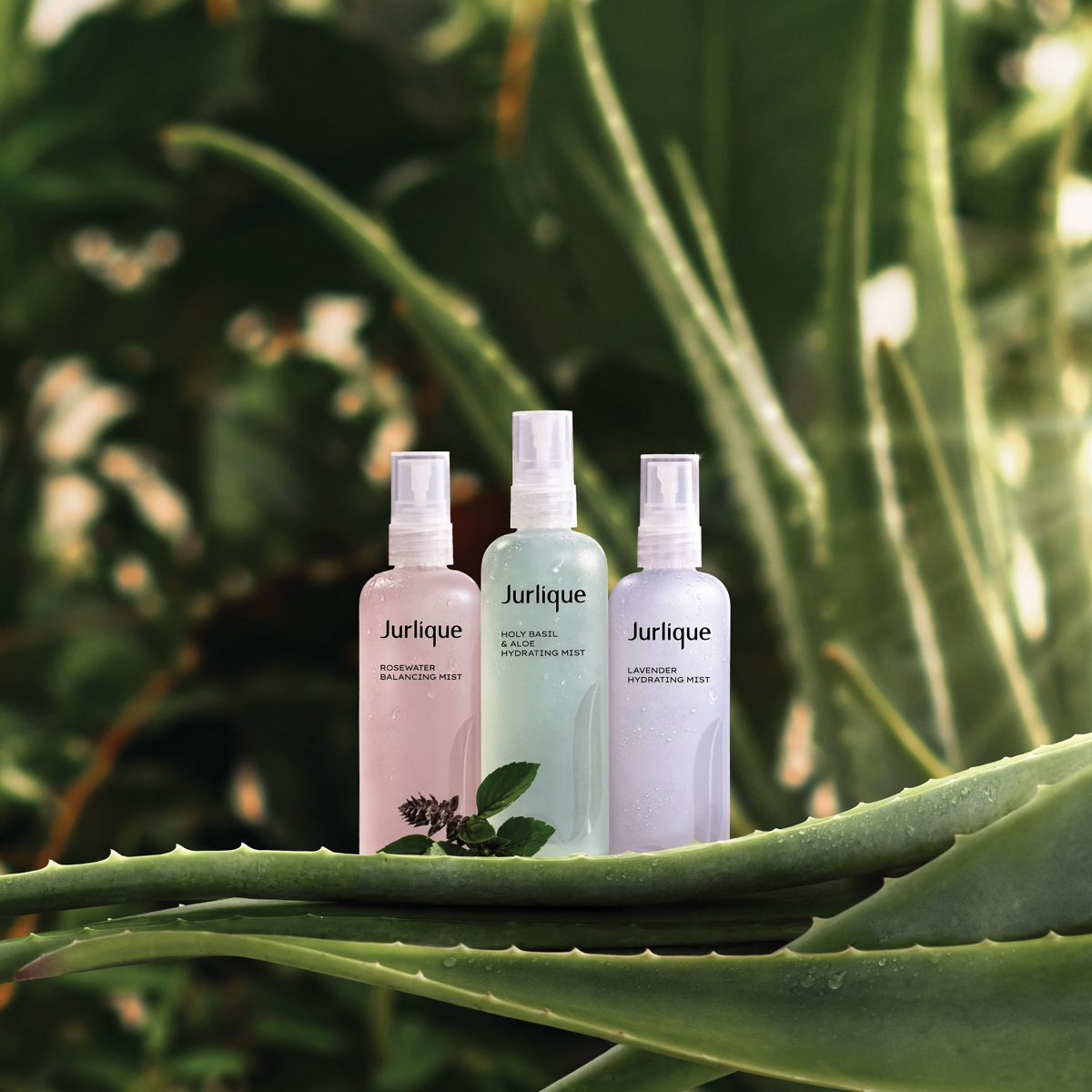 Jurlique - Holy Basil & Aloe Mist 