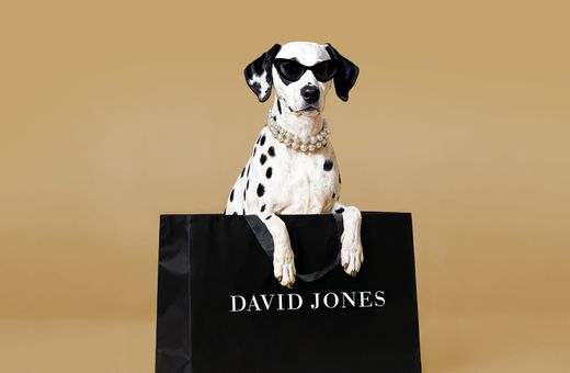 David Jones rewards program reimagined in partnership with Qantas