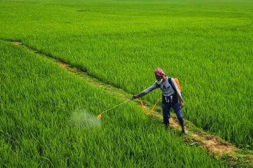 Man spraying pesticides onto farming field