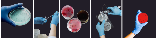 Microbiological analysis used to assess the efficacy of biocidal products against microorganisms.