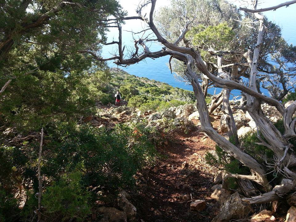 Guida vacanze Iglesias