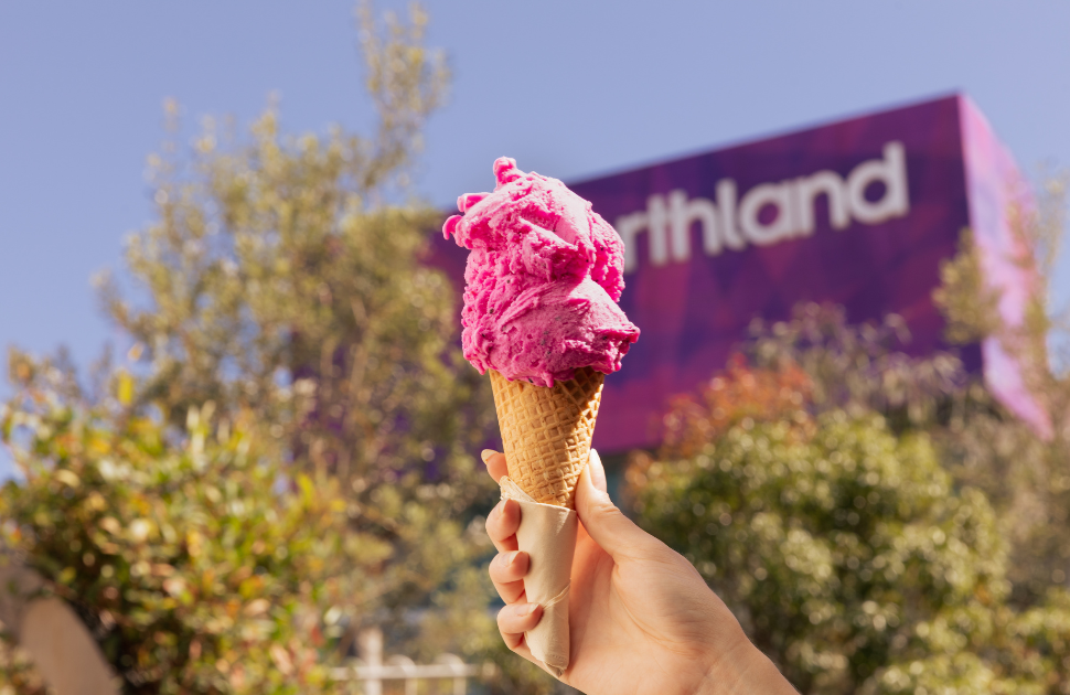 Gelatissimo | Family Deal