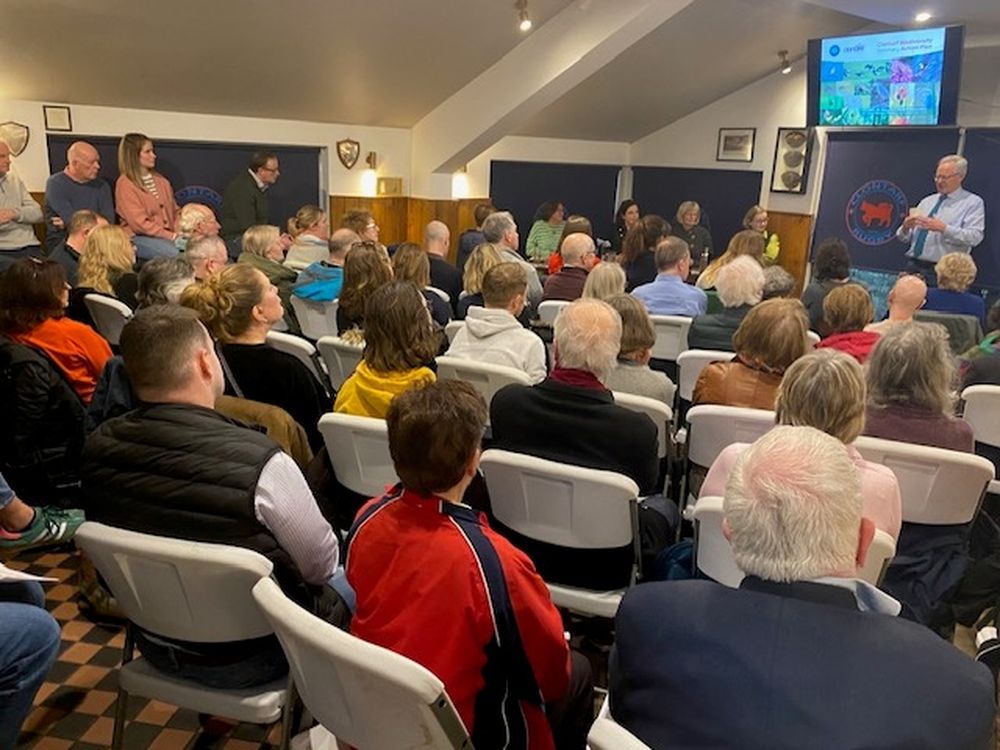 Clontarf Biodiversity Action Plan 2025 | Love Clontarf
