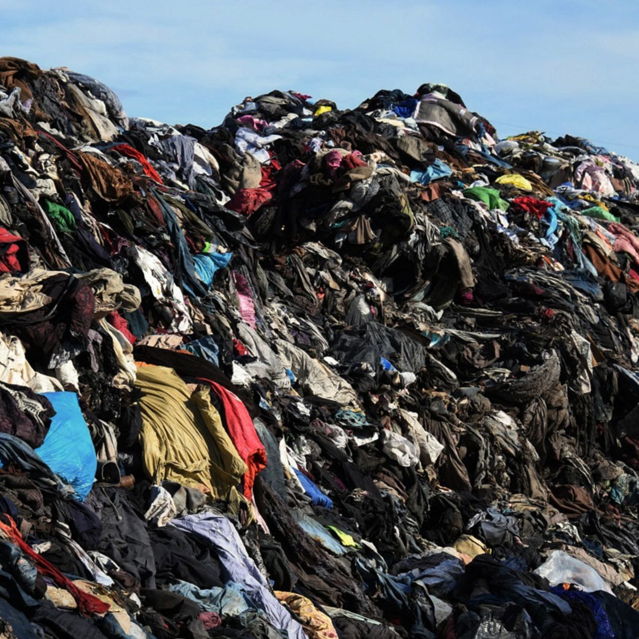 ASKET | Zero Compromise Garments - Essentials Made To Last