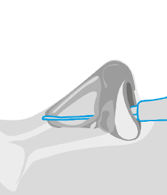 Illustration of the MS2G tip in front of a white background.