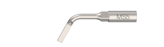 MS5
