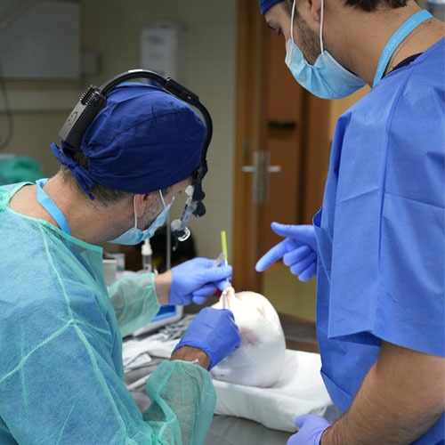 Two participants are working on human specimens.