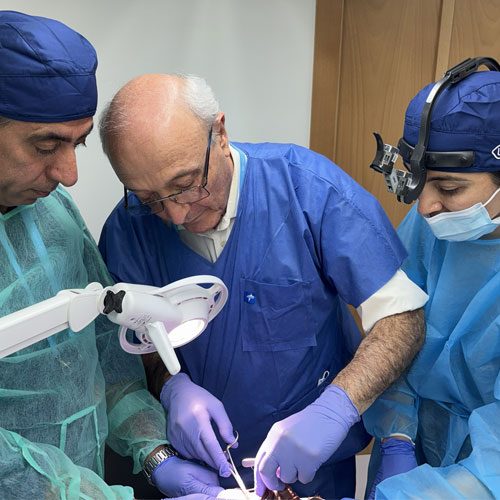 Hands-on von Dr. Saban (mitte), einem Kursteilnehmer (links) und einer Kursteilnehmerin (rechts).