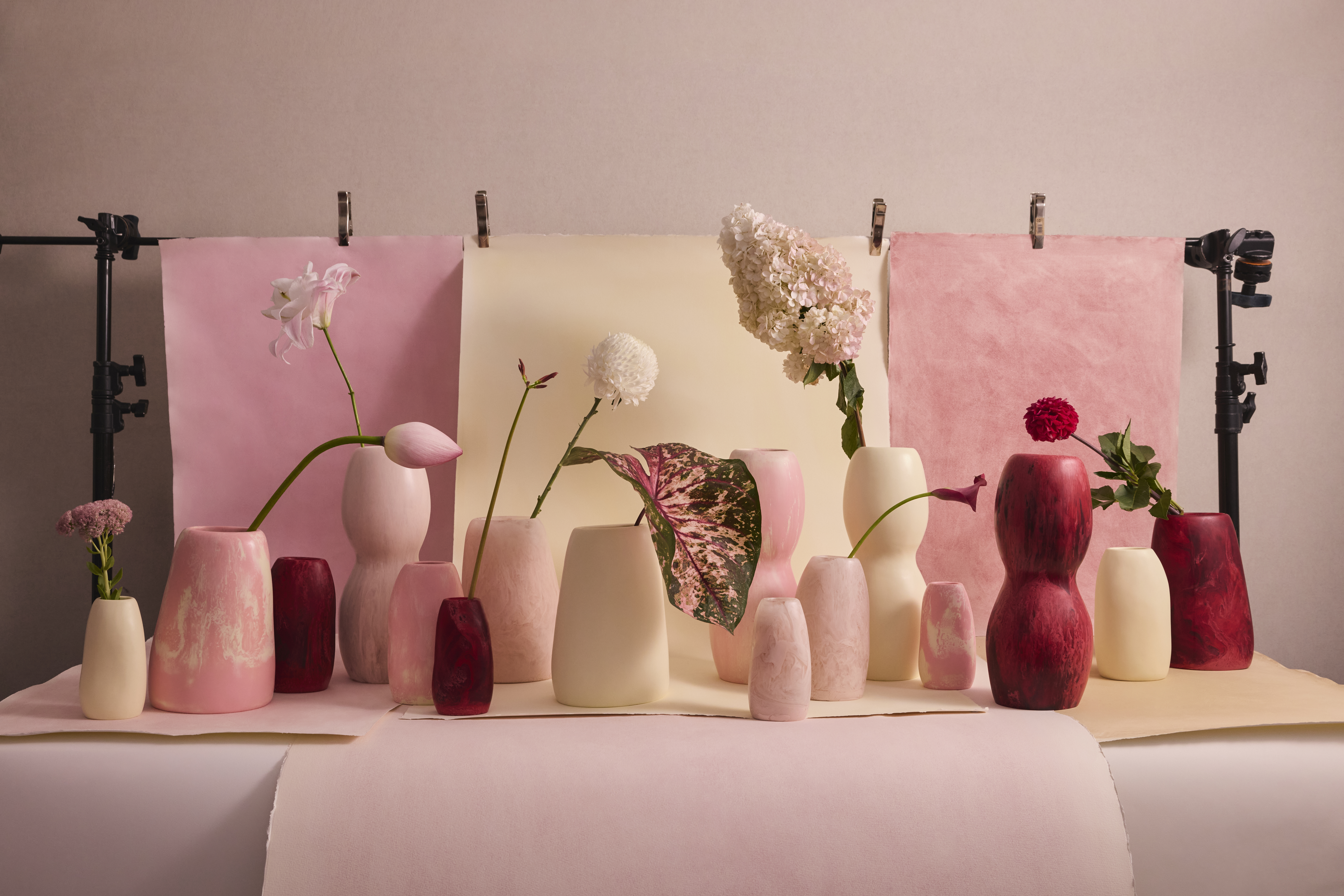 Dinosaur Designs 'Blossom'