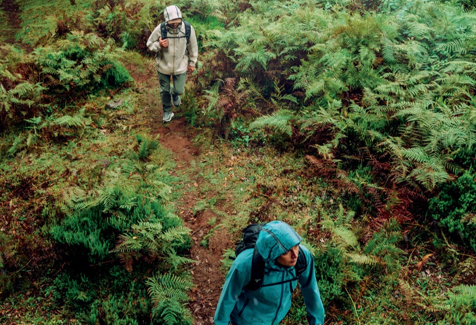 Spring into Adventure