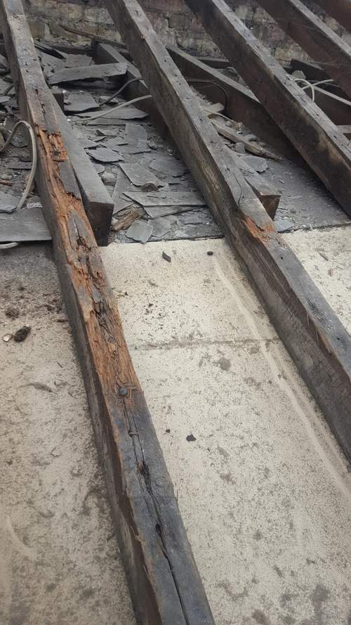 we see this type of rot quite a bit when stripping roofs