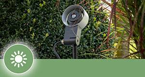 Plug&Shine vælg lampene