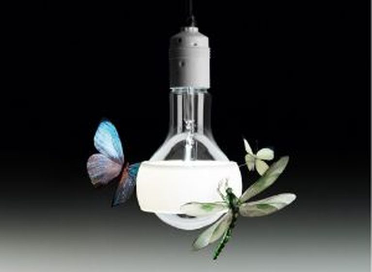 Animal Lamps & Animal Lights Lights.co.uk