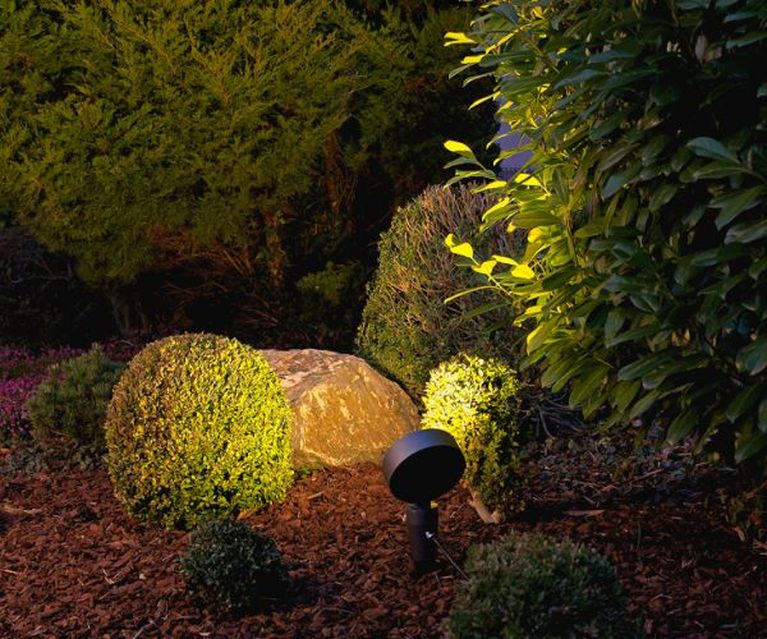Die perfekte Baumbeleuchtung für einen stimmungsvollen Garten