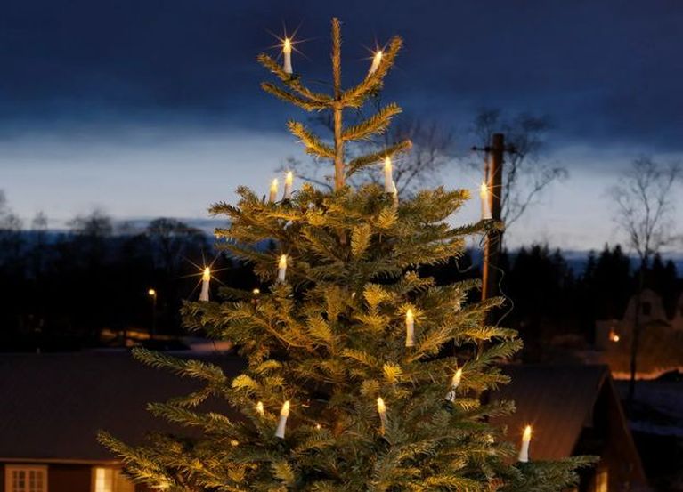 Weihnachtsbaumbeleuchtung  Lampenwelt.de