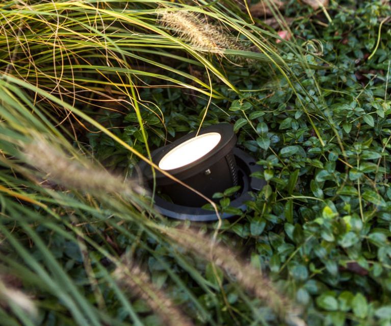 Die perfekte Baumbeleuchtung für einen stimmungsvollen Garten