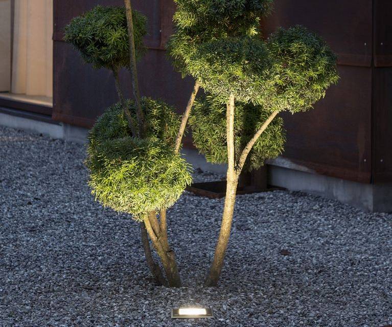 Die perfekte Baumbeleuchtung für einen stimmungsvollen Garten