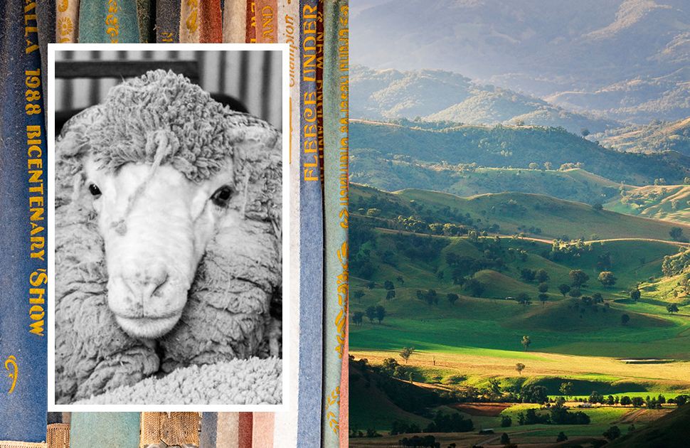 M.J. Bale | True Blue, Through and Through