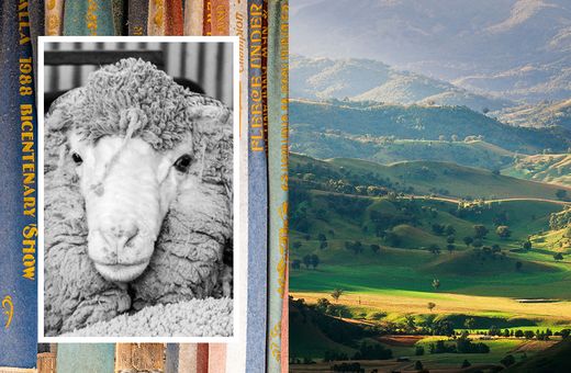 M.J. Bale | True Blue, Through and Through