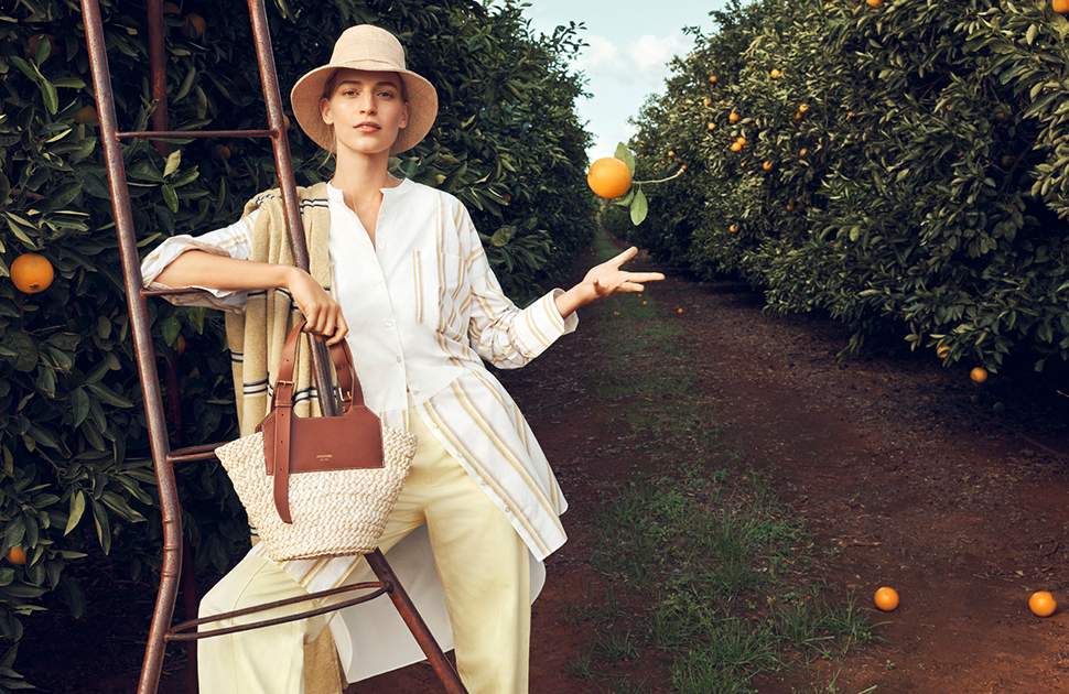 Introducing The Orchard