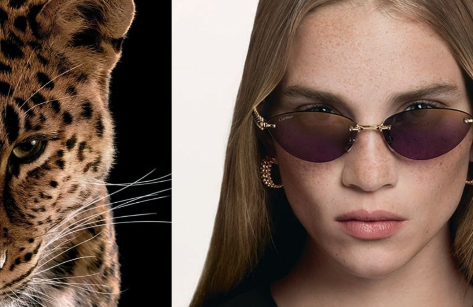 Cartier Eyewear VIP Viewing Event