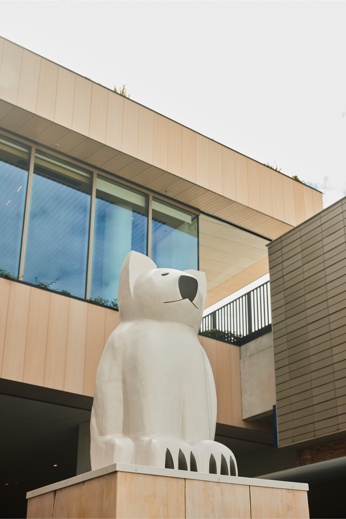 Untitled (Koala)