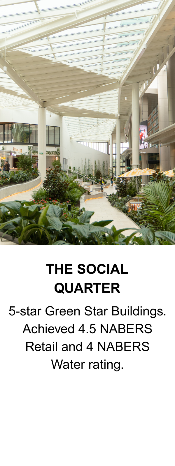 The Social Quarter
