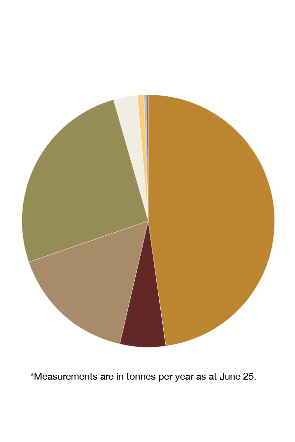 pie chart