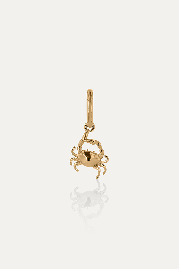 The Xanthe Zodiac Cancer Carabiner is defined by the Crab. Cancer is the zodiac’s protector, ruled by the Moon, which governs emotion, memory and instinct. 