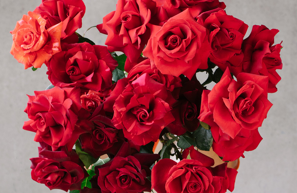  Flowers Vasette | Flowers composed with thought, not formula