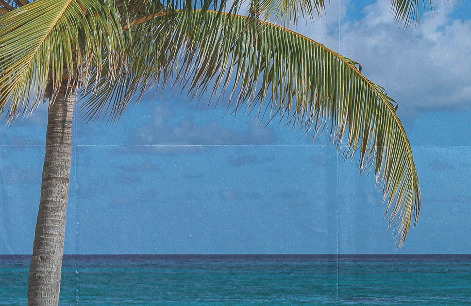 Seafolly | End Of Season Sale Starts Now