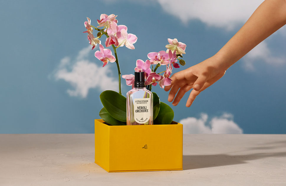 L'Occitane | Where Love Lives On