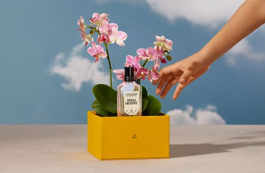 L'Occitane | Where Love Lives On