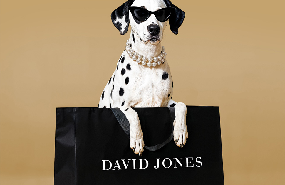 David Jones