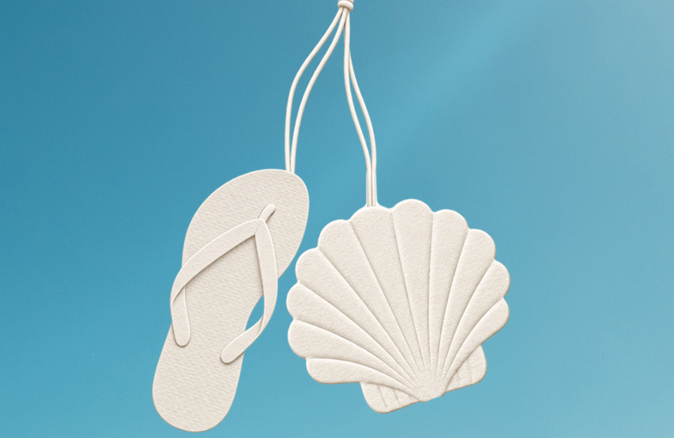 Seafolly | Seafolly x Havaianas