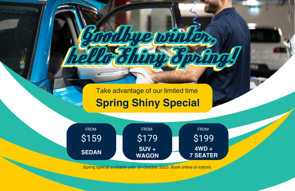 Silver Sponge Spring Shiny Special 2023 Silver Sponge Hand Car Wash