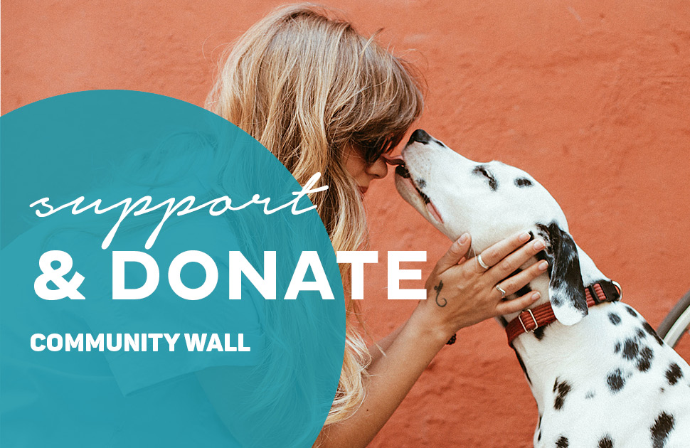 Community Wall - RSPCA