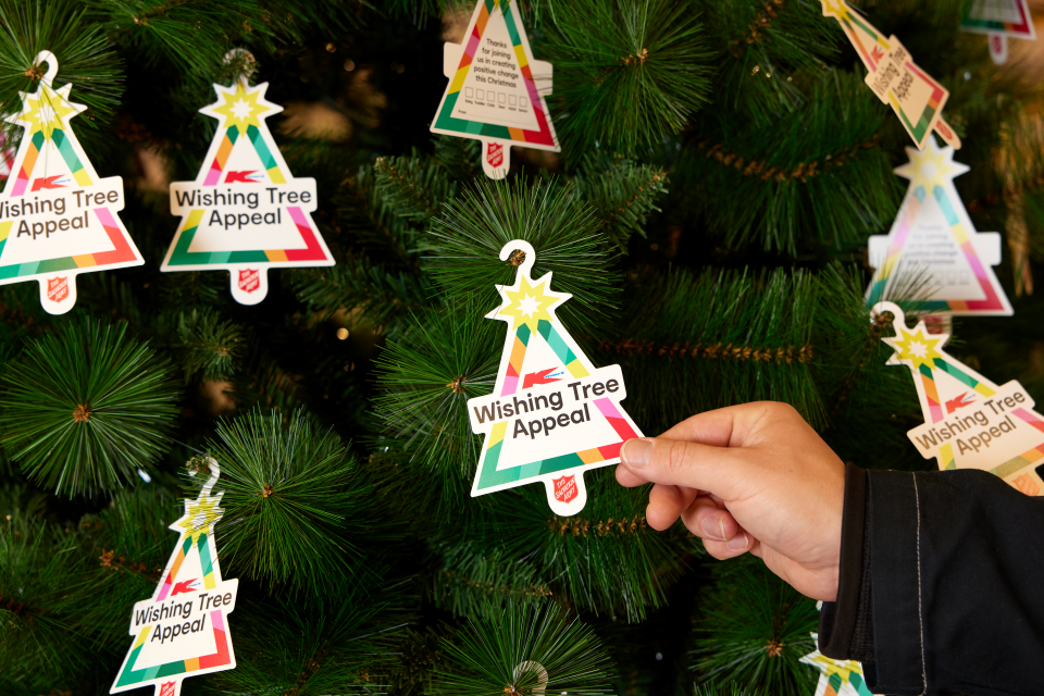 Kmart Wishing Tree Appeal 2025