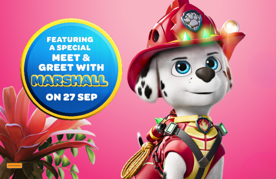 A Very Special PAW Patrol Visit!