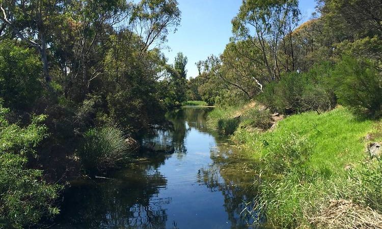 The Kororoit Creek Watercourse
