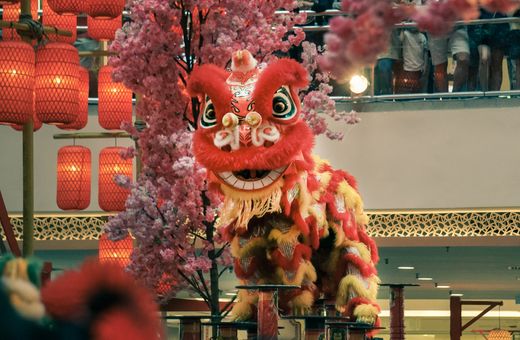 Lunar New Year Lion Dance Performances