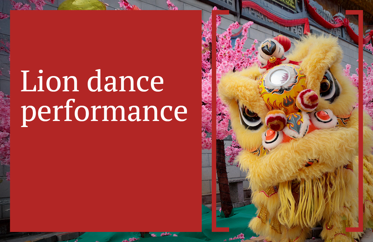 Lion Dance Performance