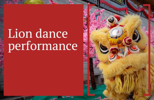 Lion Dance Performance