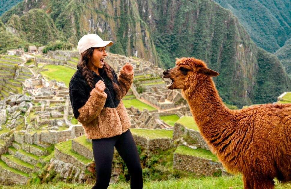 Travelex | Earn Everyday Rewards points