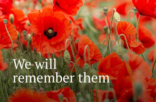 Remembrance Day Poppies