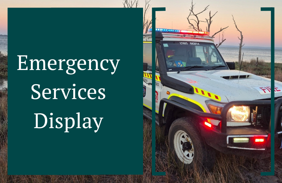 Emergency Services Display