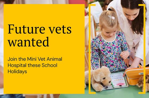 Mini Vets Animal Hospital